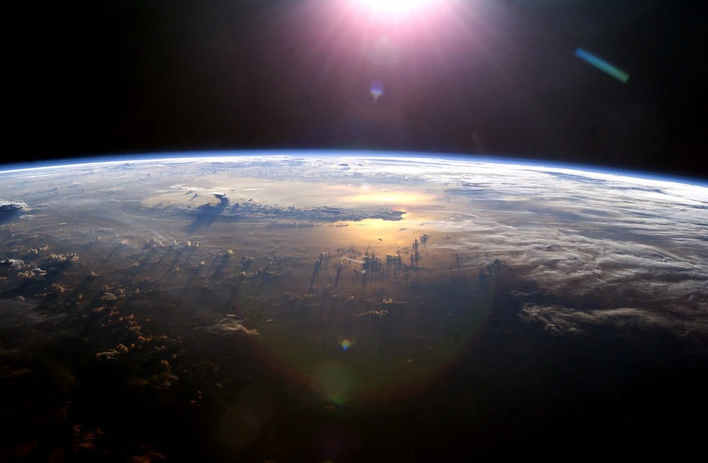 10 Reasons We Should Celebrate Our Planet