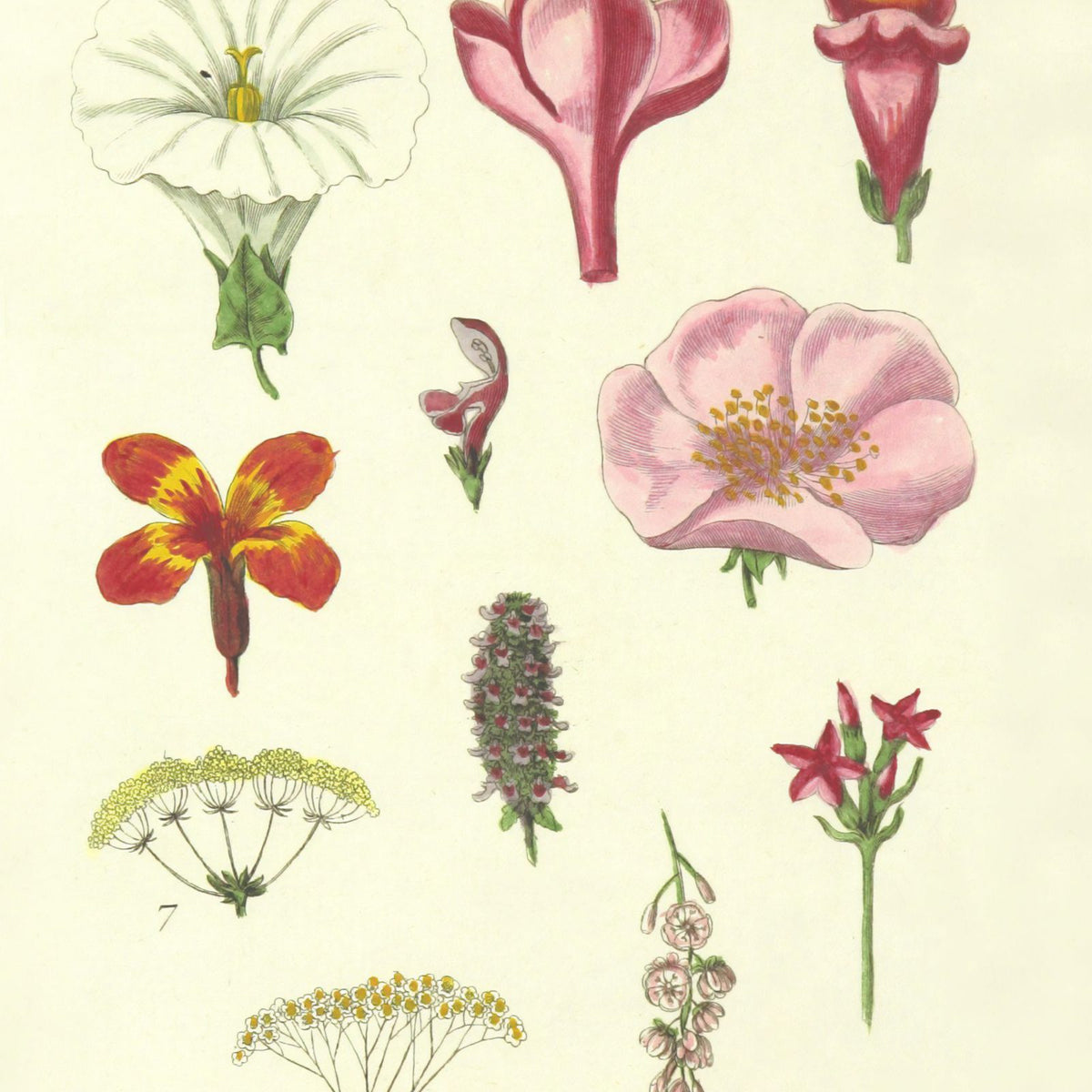 10 Famous Art Pieces Inspired By Nature