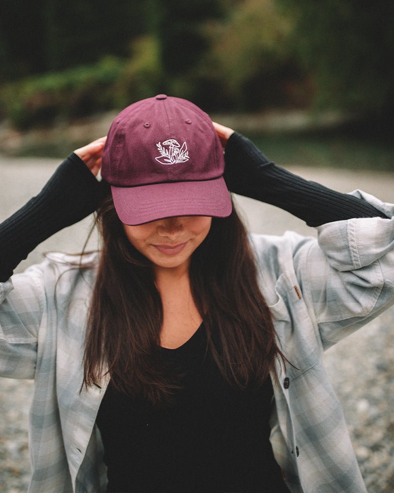 Casquette Peak Understory