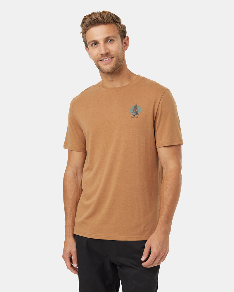 T-shirt sapin de Douglas