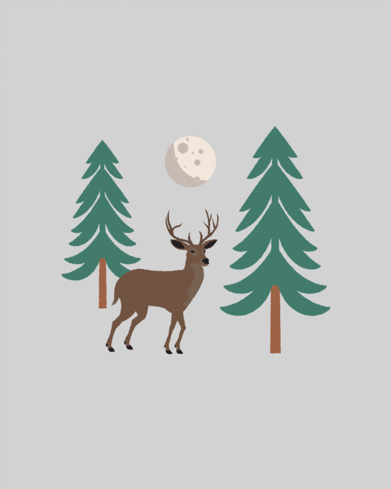 Aidez à régénérer une forêt tempérée sèche